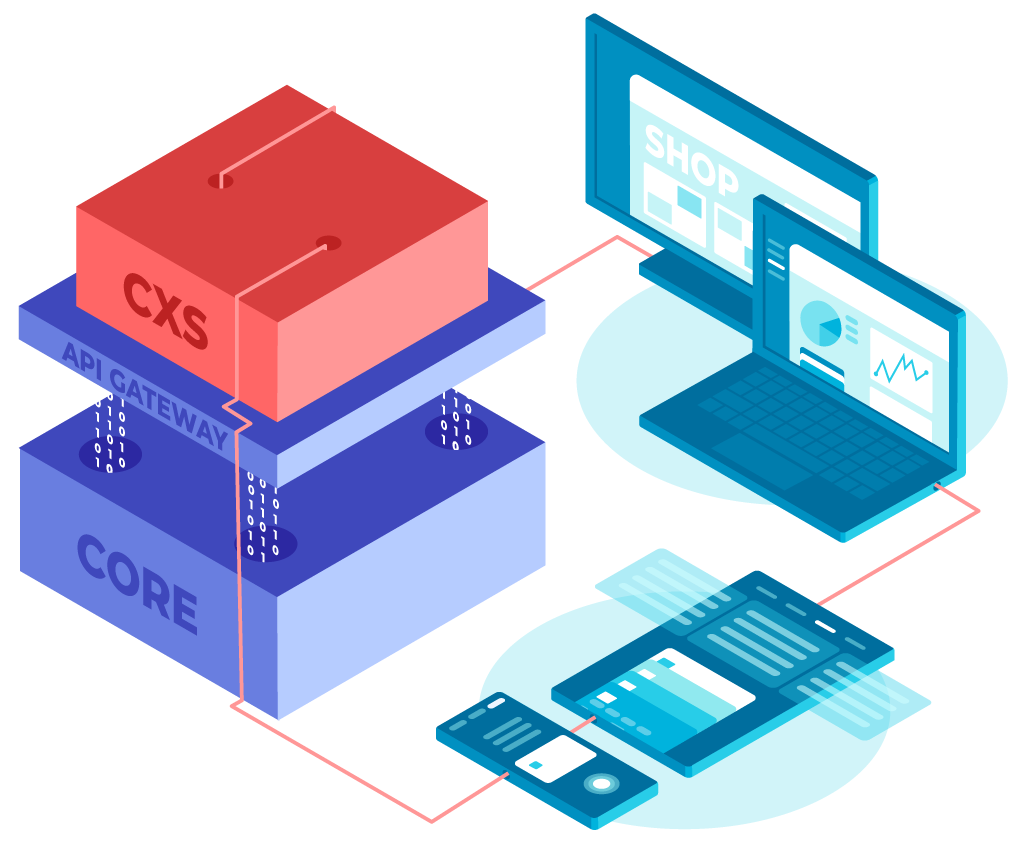CXS Platform Commerse